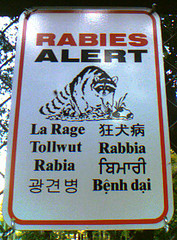 rabies alert