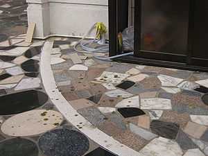 bird droppings - birds gathered around swimmin...