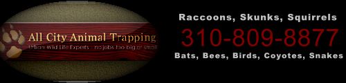 500 Banner