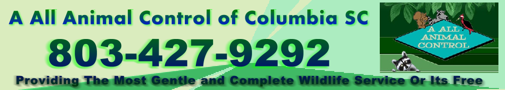 a all animal control of columbia sc