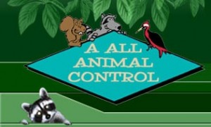 aallanimal logo