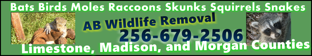 abwildliferemoval2011