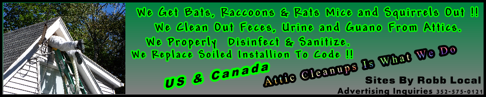 attic cleanups is what we do
