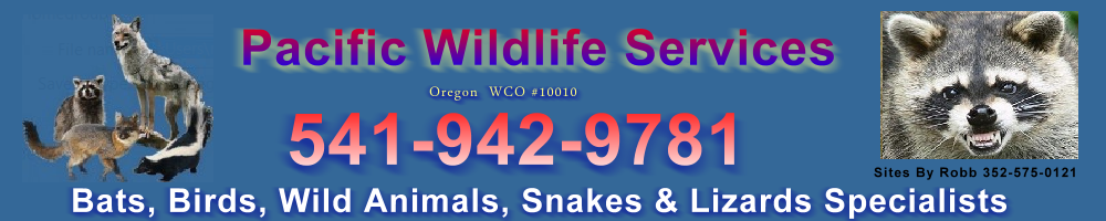 eugenewildliferemoval_new