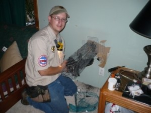 grand-rapids-squirrel-trapper-chipmunk-removal-control