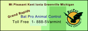 grandrapidsbusinesscard