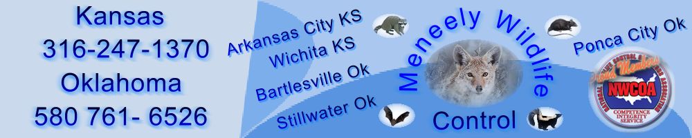 ponca city wichita correct