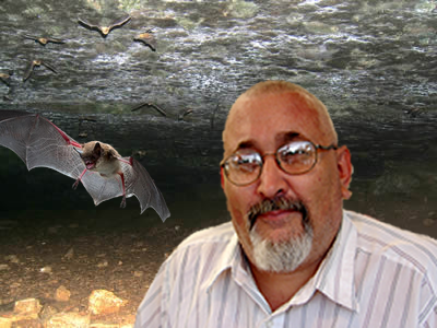 robbrussell-batcontrol