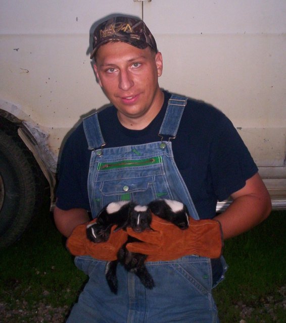 skunk removal
