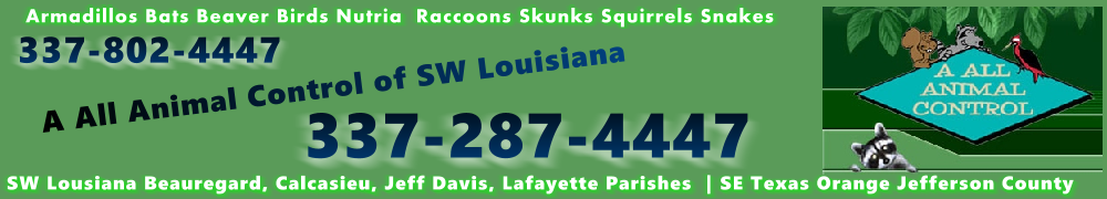 swlasetxbanner2011green