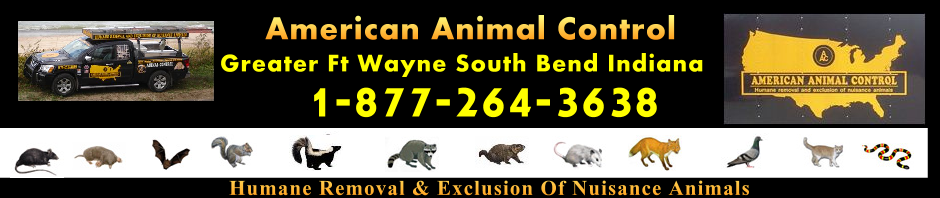 tony_siri_ftwayne_banner_new